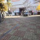 하레하레 | 풍자 또간집 하레하레 둔산점 솔직 후기 단골 빵추천