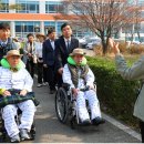 나무병원건강한숲 이미지