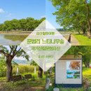 느티나무마을 | 충북 괴산 가볼만한곳 문법리 느티나무 마을숲 힐링여행 브이로그