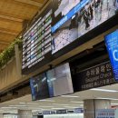 떡볶이 스타 미아점 | '먹먹또 상해 정복기 1탄' / 중국동방항공 탑승 후기, 인천-푸동 vs 김포-홍차오, 공항 꿀팁