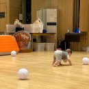 트니트니 | 트니트니 잠자리 선생님 수강 후기