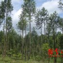 태동농장 이미지