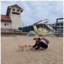 하서원 민박 이미지