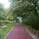 () 오랜 세월을 머금은 푸른 숲과 부처를 닮은 연꽃의 즐거운 향연 ~ 함양 상림공원 이미지