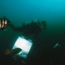 자장면시키신분 이미지