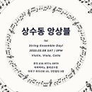 현악 앙상블(바이올린) 이미지