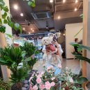 아리네수제간식 | [반려견 동반카페] 오목교/목동 강아지 동반 카페, 타르트 맛집, 아리네 카페 후기