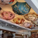 홍게랑 대게랑 이미지