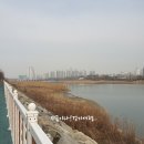 선학공원 이미지