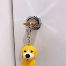 리캔두 컨디셔닝 운동센터 이미지