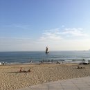 해운대센트럴호텔 이미지