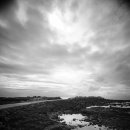 동일리-10 이미지