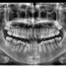 리볼리치과의원 이미지