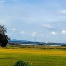 (주)태성미디어 이미지