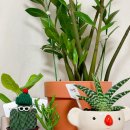 LED플라워 화분 제작 | 청주꽃집추천 마젤플라워스튜디오, 우암동 화분 &amp; 꽃배달로도 유명한 곳