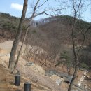 백야리산림욕장 이미지