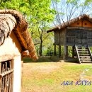 김해 봉황동유적 ( 패총과 봉황대, 2023.04.08.)