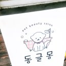 동글몽 이미지