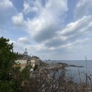 외옹치항 활어판매장 이미지