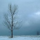 아버지의 서러운 죽음을 슬퍼하는 풀벌레 소리[풀벌레 소리 가득 차 있었다/이용학] 이미지