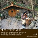 동화속오두막 | 동화같은 오두막과 기찻길 포토존 제주 산양큰엉곶 겨울 방문 후기