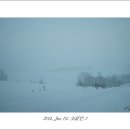 링크스팟 이미지