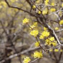 화전2리경로당 이미지