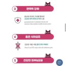 팻캣 | 중성화 후 체중관리 추천 내추럴발란스 고양이 사료 팻캣 닭&연어 급여 후기