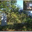 무성산성 이미지