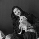 숙희네 개집 이미지