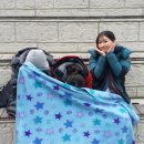 점프클라이밍짐 이미지