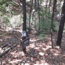 인성군묘 이미지