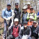 진부농협주유소 이미지