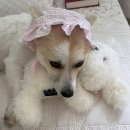 오늘의 선택이 내일의 스포일러