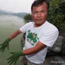 보라피네 오마이뉴스