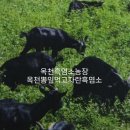 분덕골농장 이미지