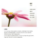 노래마을 이미지