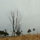 밀양아리랑오토캠핑장 이미지