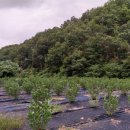 주원약품 이미지