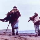 진정1천 이미지