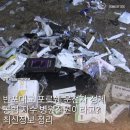 영가대교 북단 아래 | 반포대교 포르쉐 운전자 정체 공범 자수 병원직원이라고?