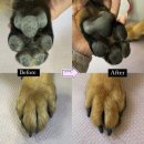 멍즈니랜드 이미지