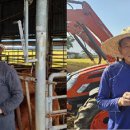 김인수농장 이미지