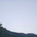 별품은 강 이미지