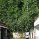 UP-TO-DATE 이미지