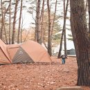 진부(오대산)관광농원 이미지