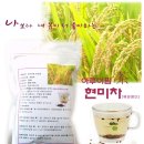 아루이팜 | [맘스홀릭 지후맘](아루이팜) 체험단, 리뷰어' 체험후기- 숭늉보다 구수한 현미차의 매력!!!