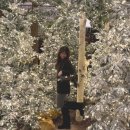 슈파두파 | (내돈내산) 솔트앤초콜릿 이베르 와이드 부츠 후기 (+착용샷) : 발편한 부츠 추천