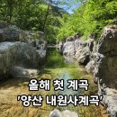 올해첫계곡-양산내원사계곡