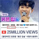 임클린